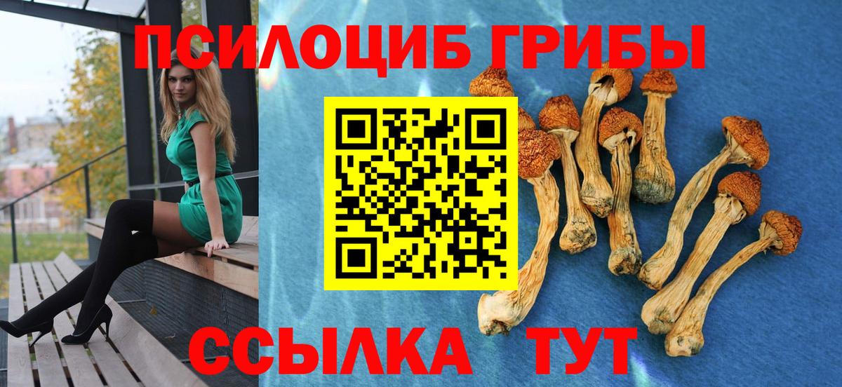 Галлюциногенные грибы Magic Shrooms  Вход с VPN  Тулун 